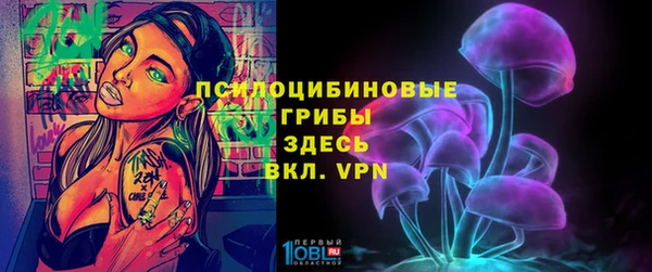 крисы Верхнеуральск