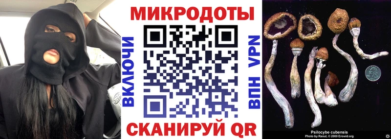 kraken ССЫЛКА  Кирово-Чепецк  Псилоцибиновые грибы Cubensis  где можно купить  